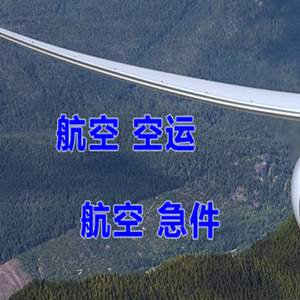 岳阳三荷空运代理快递-选东方航空和上海航空