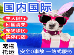 岳阳三荷空运代理国际宠物托运 【国